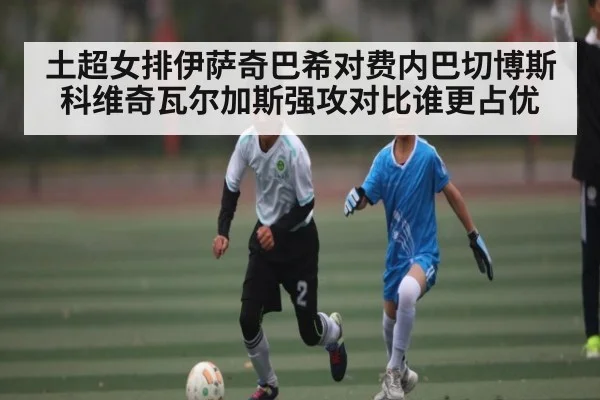 土超女排伊萨奇巴希对费内巴切博斯科维奇瓦尔加斯强攻对比谁更占优